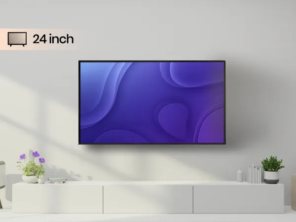 TV   24 inches LED